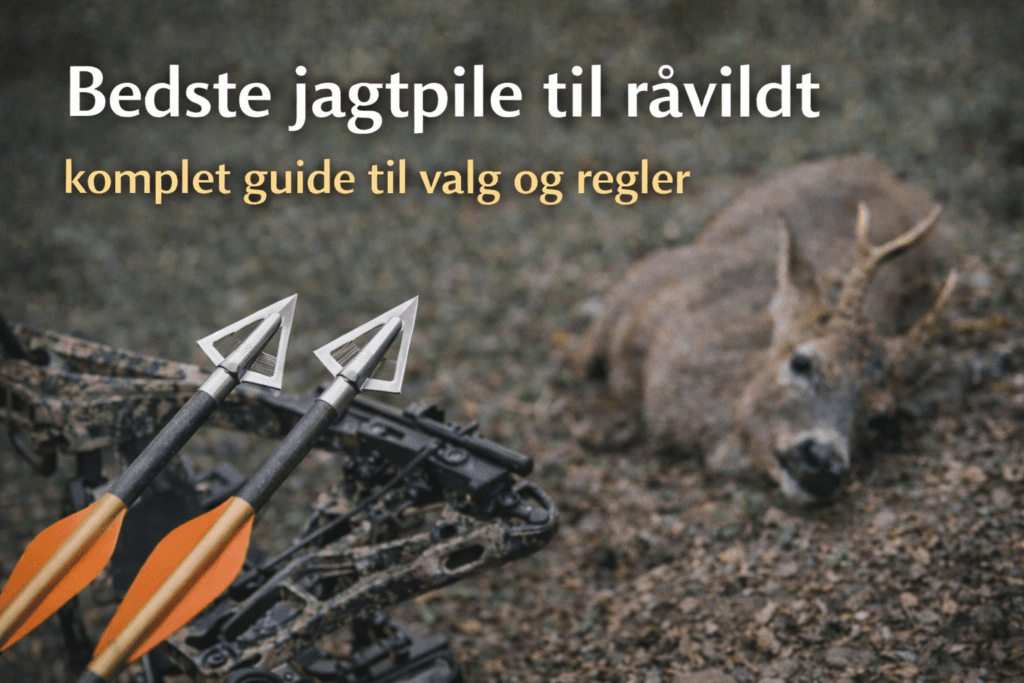 Råvildt nedlagt ved buejagt med compoundbue i skovmiljø