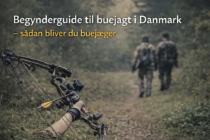 Begynderguide til buejagt i Danmark med compoundbue og nye buejægere på vej i skoven