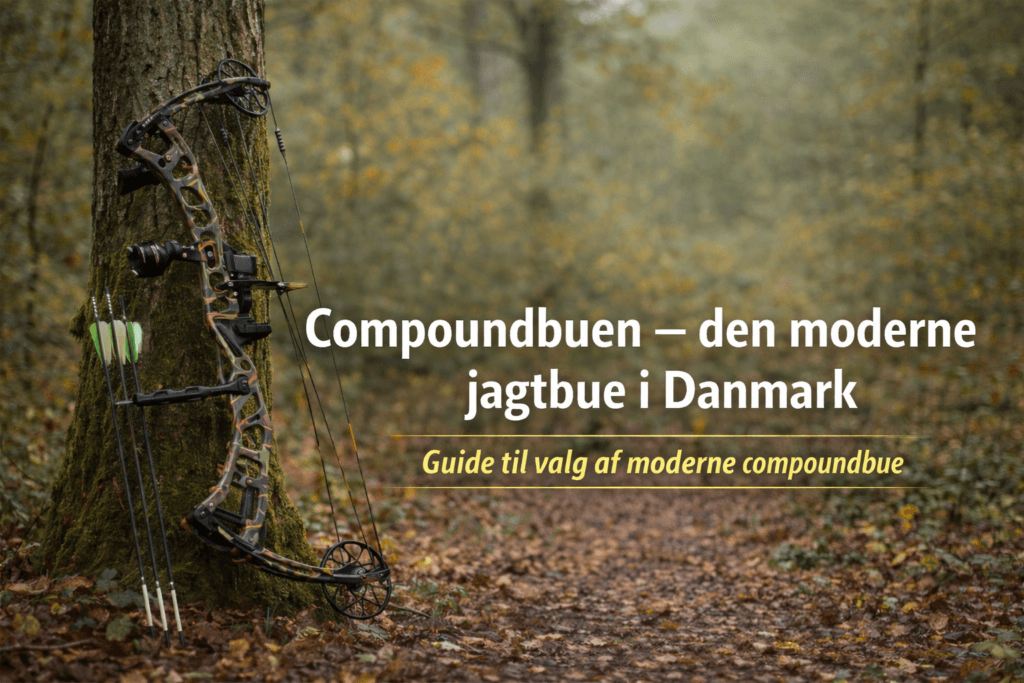 Compoundbue i dansk skov – moderne jagtbue til buejagt i Danmark
