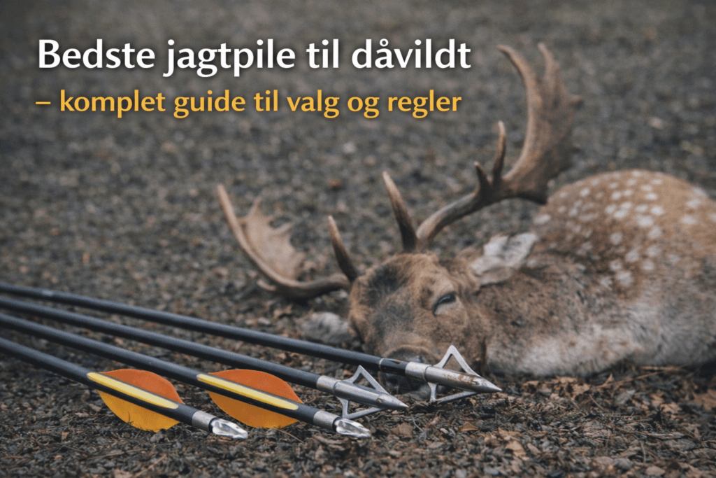 Dåvildt nedlagt ved buejagt med jagtpile og fastbladede jagtspidser