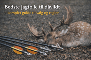 Dåvildt nedlagt ved buejagt med jagtpile og fastbladede jagtspidser