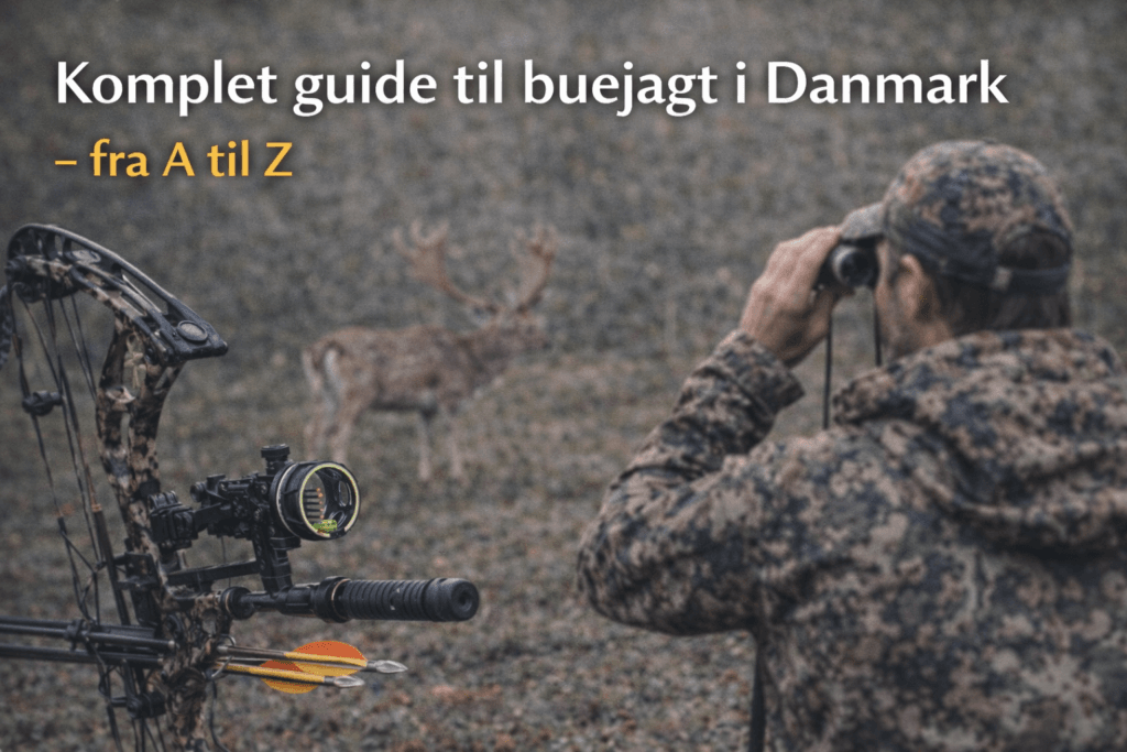 Buejagt i Danmark med compoundbue og jæger i naturen som illustration til komplet guide