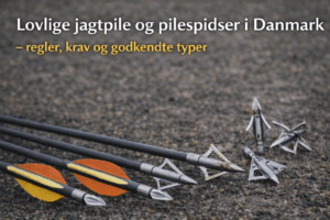 Lovlige jagtpile og fastbladede pilespidser til buejagt i Danmark