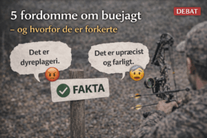Debat om fordomme mod buejagt med jæger og compoundbue i naturen