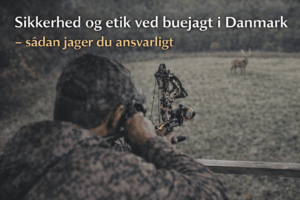 Buejæger i åbent jagttårn sigter med compoundbue mod hjortevildt på mark